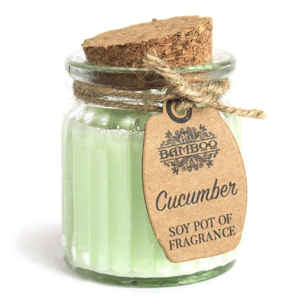 Cucumber Soy Candles - Refreshing Pot of Fragrance - Ignara Living