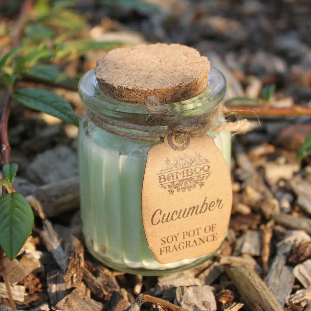 Cucumber Soy Candles - Refreshing Pot of Fragrance - Ignara Living