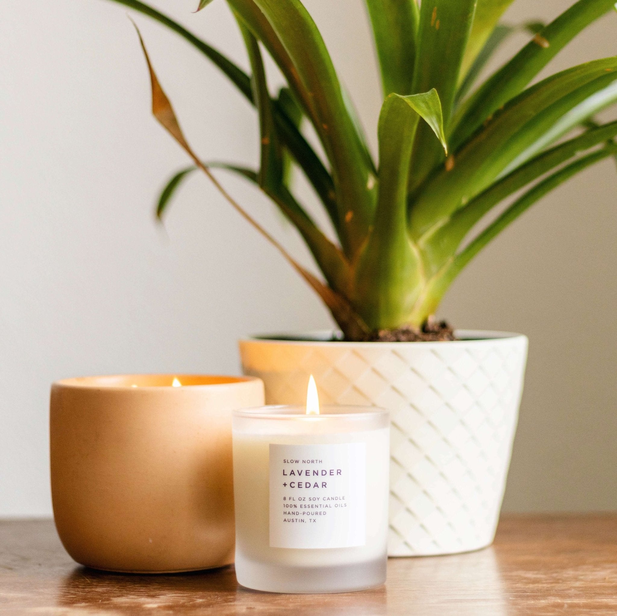 Lavender Cedar Candle - Signature Aromatherapy Experience - Ignara Living